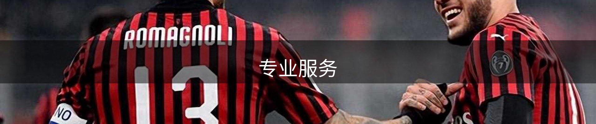 专业服务